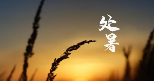 2023处暑过后一般天气多少度（处暑过后天气温度会降低吗）