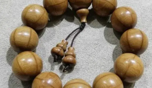 六道木会替人挡灾吗2