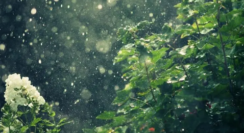 2023处暑之后降雨多吗(处暑之后还有雨下吗) 2023处暑之后降雨多吗(处暑之后还有雨下吗)