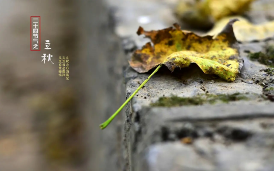 立秋后几点天会亮（立秋后几点太阳出来）