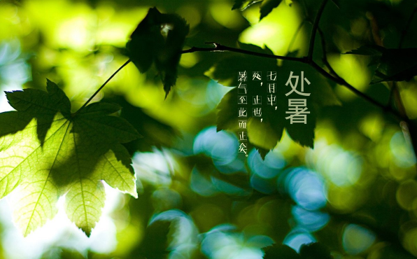 秋老虎在处暑前还是处暑后（处暑过后还有秋老虎吗）