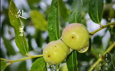 处暑后天气转凉了吗2023（处暑天气有什么变化）