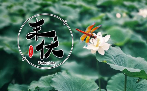 末伏过了是什么节气（出伏之后是什么节气）