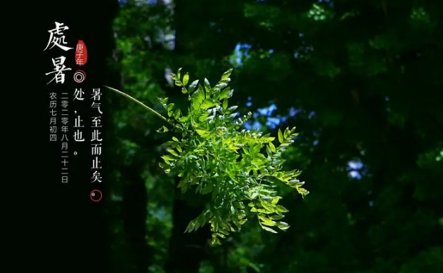 处暑就是夏天结束了吗（处暑代表夏天过去了吗）