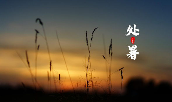 处暑为什么在立秋后面（处暑怎么在立秋之后）