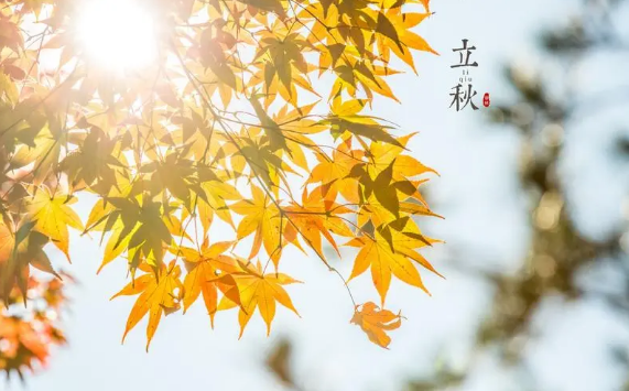 立秋后早起好还是晚起好（立秋后几点起床最健康）