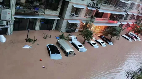 洪水的真凶不是暴雨而是大坝对吗（洪水大坝是用什么去堵）