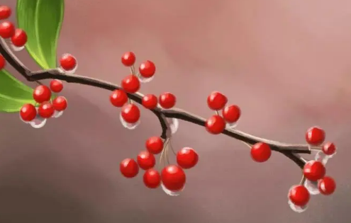 2023年白露后早晚会有露水吗1