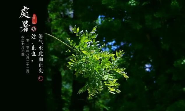 2023处暑后多长时间就不热了（2023处暑过几天就不热了）