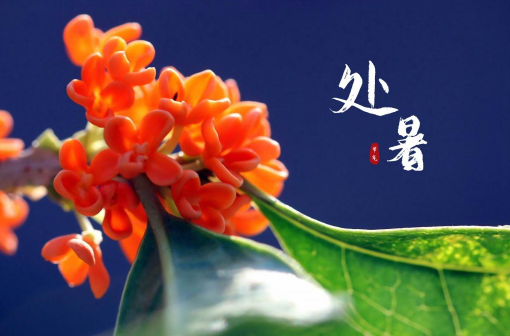 2023年处暑是黄道吉日还是忌日（2023年处暑是好日子吗）