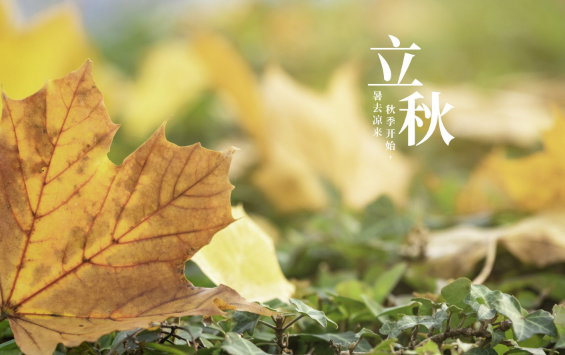 2023年立秋后会持续高温吗2