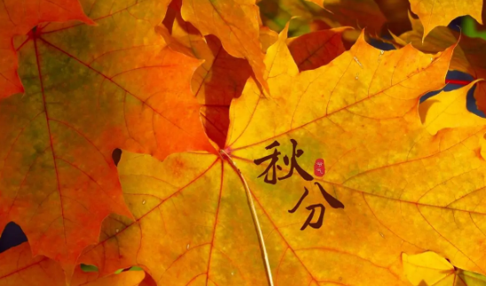 2023年秋分当天晴好还是阴好（秋分阴天有什么说法）