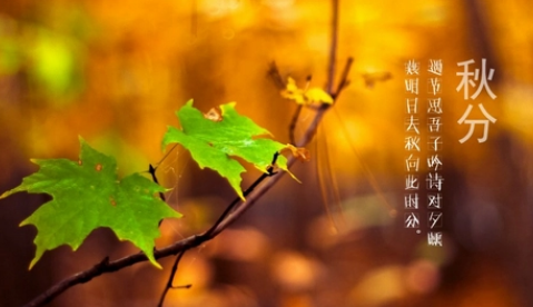 2023年秋分天气会转凉吗（​秋分过后几天天气冷）