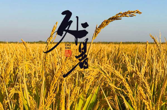 处暑前三天交运是不是每天的三点到五点（处暑前三天一点到三点交运吗）