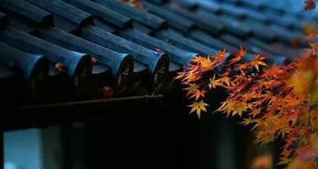 2023年秋分过了就是冬天吗2