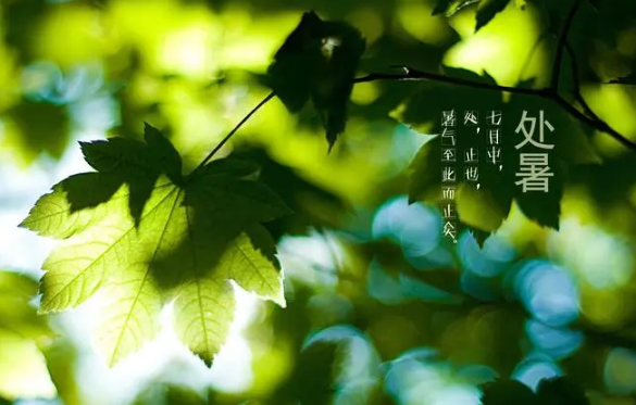 2023年处暑当天可以结婚吗（2023年处暑当天结婚好不好）