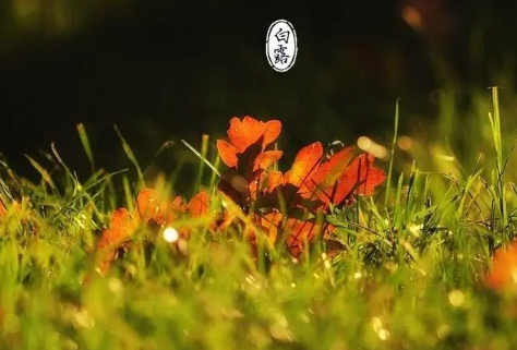 2023年白露后还热吗(白露后会凉快吗) 2023年白露后还热吗(白露后会凉快吗)