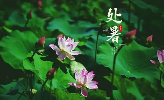 2023年处暑会下雨吗(2023年处暑的天气情况) 2023年处暑会下雨吗(2023年处暑的天气情况)