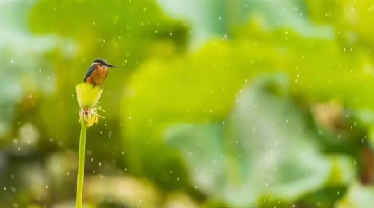 处暑后天气转凉了吗2023（处暑天气有什么变化）