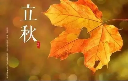 立秋后的蚊子会更厉害吗（立秋后的蚊子为什么厉害）