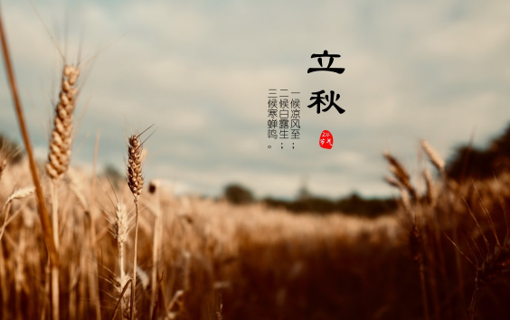 2023立秋后夜晚还热吗3