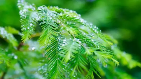 2023年9月份贵州雨水多吗3