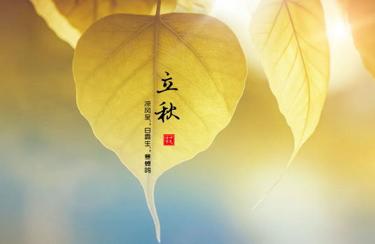 2023立秋后夜晚还热吗1