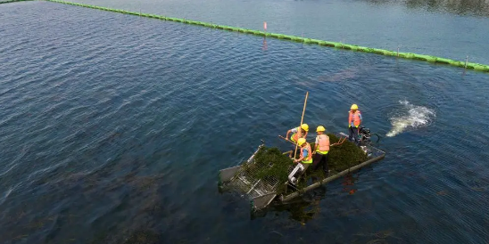 2023年武汉天气几月份开始冷（武汉寒冷时间持续多久）