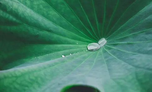 2023年处暑之后一周还热不热（处暑之后还会不会出现高温天气）