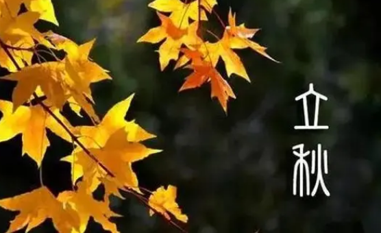 立秋是不是意味着三伏天过了（立秋是不是就出伏了）