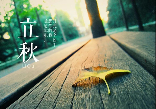 立秋后晒背还能补阳吗（立秋后晒背还有效果吗）