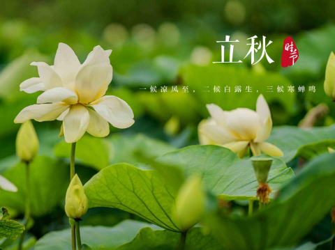 立秋后几点天会亮（立秋后几点太阳出来）