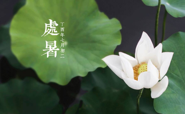 处暑是一年中第几个节气（处暑是秋天的第几个节气）