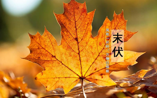 2023末伏之后还热吗2