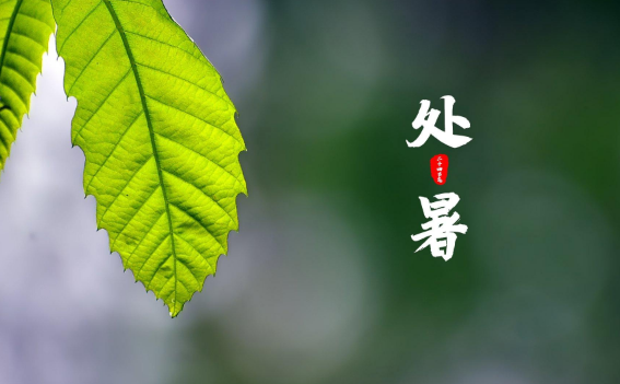 2023年处暑是哪一天开始的（2023年处暑在八月几日星期几）