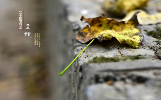 2023立秋后会有台风出现吗（2023立秋后还会有暴雨吗）