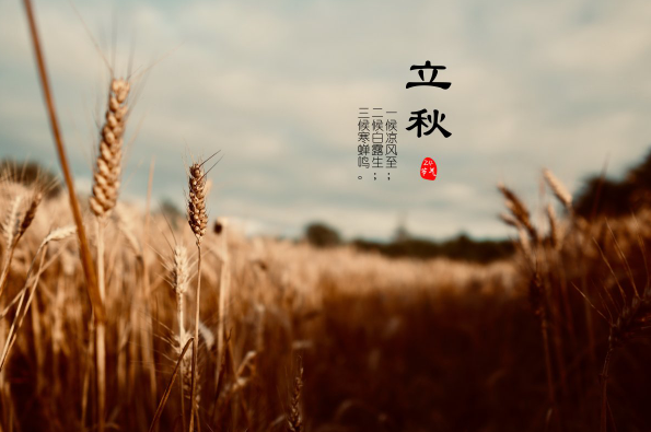 立秋后少吃哪三种瓜2