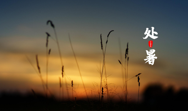 2023处暑以后雨水会变少吗（2023处暑后雨水还多吗）