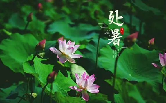 2023处暑是末伏的最后一天吗（2023处暑是末伏的第几天）