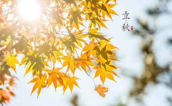 立秋之后有一伏还是两伏（立秋后有几伏）