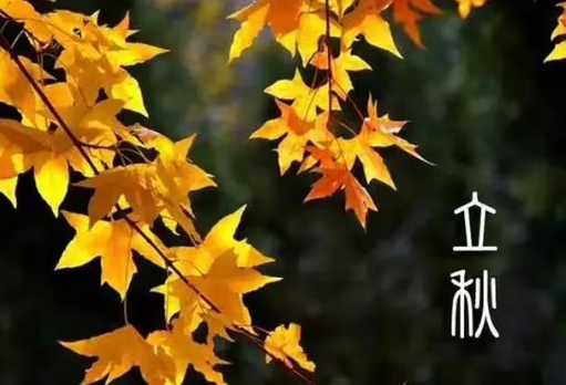 立秋后早起好还是晚起好（立秋后几点起床最健康）