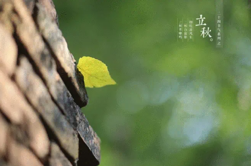 2023立秋后夜晚还热吗2