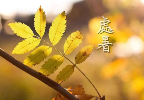 2023年处暑前一天是什么日子2