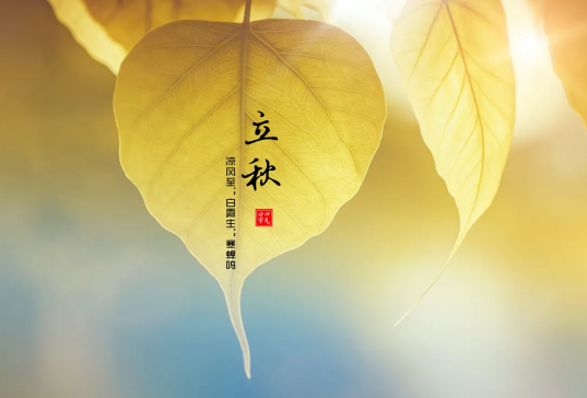 立秋打雷好不好3