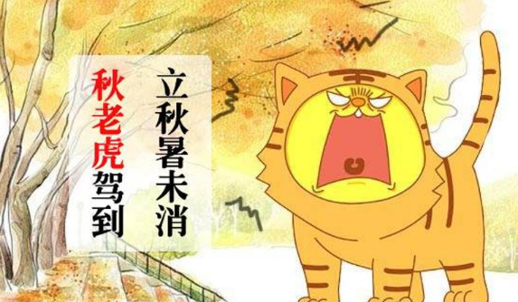 2023秋老虎在秋分前还是后（2023秋老虎在处暑前还是处暑后）