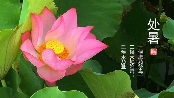 2023年处暑会下雨吗(2023年处暑的天气情况) 2023年处暑会下雨吗(2023年处暑的天气情况)