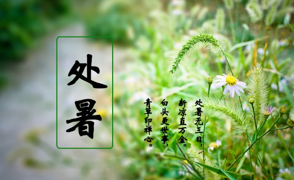 过了处暑天气会怎么样3