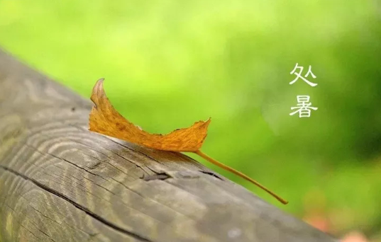 2023处暑后天气会凉快一些吗(处暑以后就意味着天气凉爽了吗2023) 2023处暑后天气会凉快一些吗(处暑以后就意味着天气凉爽了吗2023)