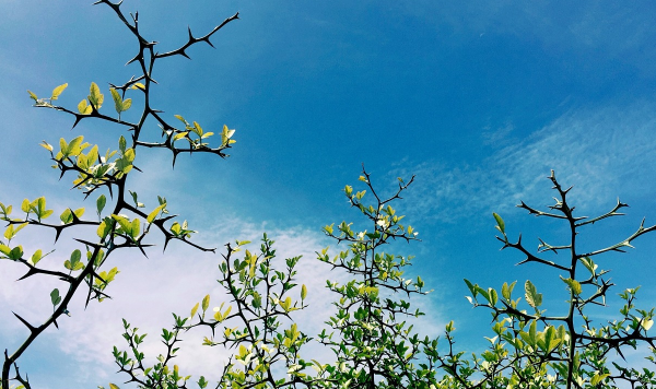 2023年有农历6月30号吗（2023年为什么没有农历六月三十）