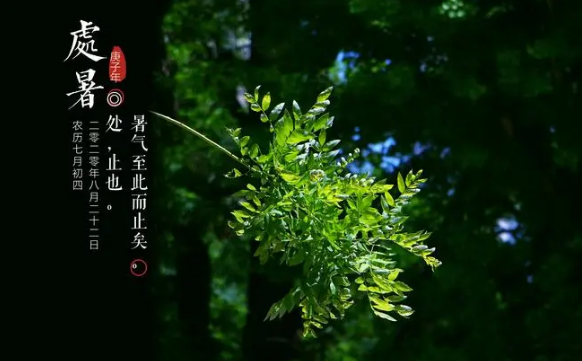 2023处暑是末伏的最后一天吗（2023处暑是末伏的第几天）